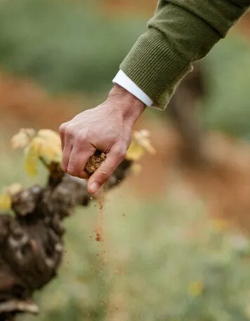 Mathieu Meyer, Estate Director, feels the soil from Château Galoupet Cru Classé terroir.