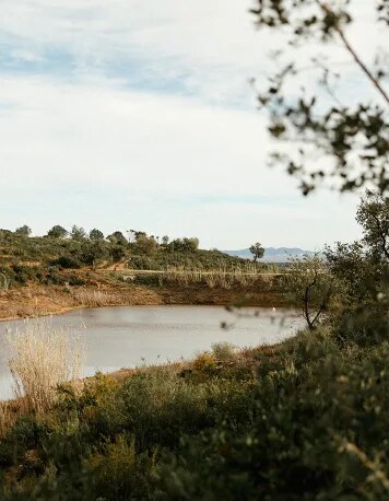 Château Galoupet's water reserve in the protected woodland surrounding the organic provence vineyards
