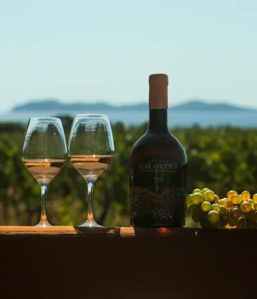 Someone holding a glass of Chateau Galoupet rose wine from Provence as if he was tasting it