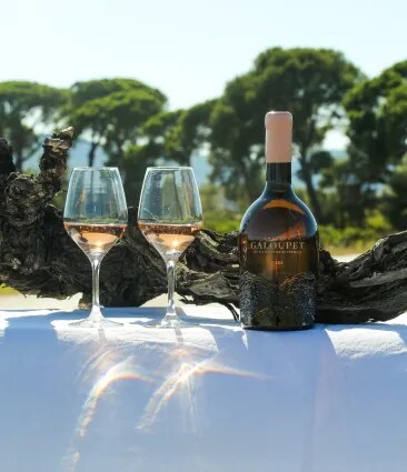 Someone holding a bottle of Château Galoupet organic rosé wine