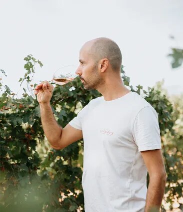 Mathieu Meyer, Estate Director, tastes rosé wine in Château Galoupet Cru Classé Côtes de Provence organic vineyards.
