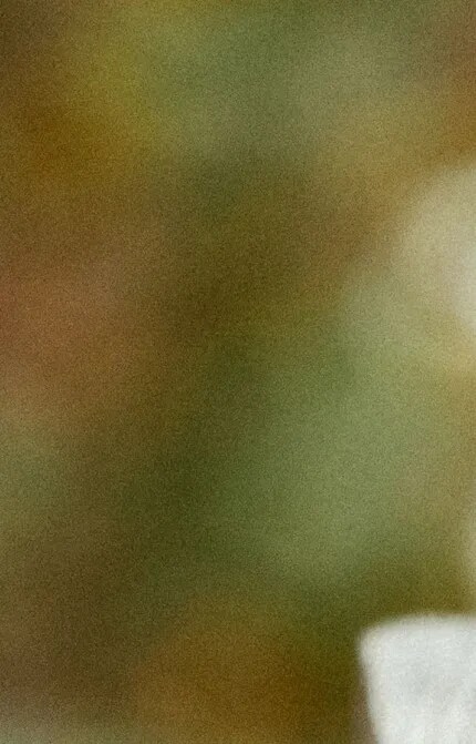 Des abeilles rentrent dans une ruche au sein du vignoble biologique de Château Galoupet Cru Classé Côtes de Provence