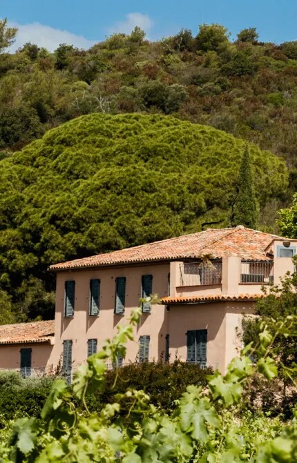 A view of Château Galoupet estate from the organic vineyards, on a sunny summer afternoon. 